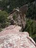 Random Photo: Skunk Canyon - Stairway To Heaven